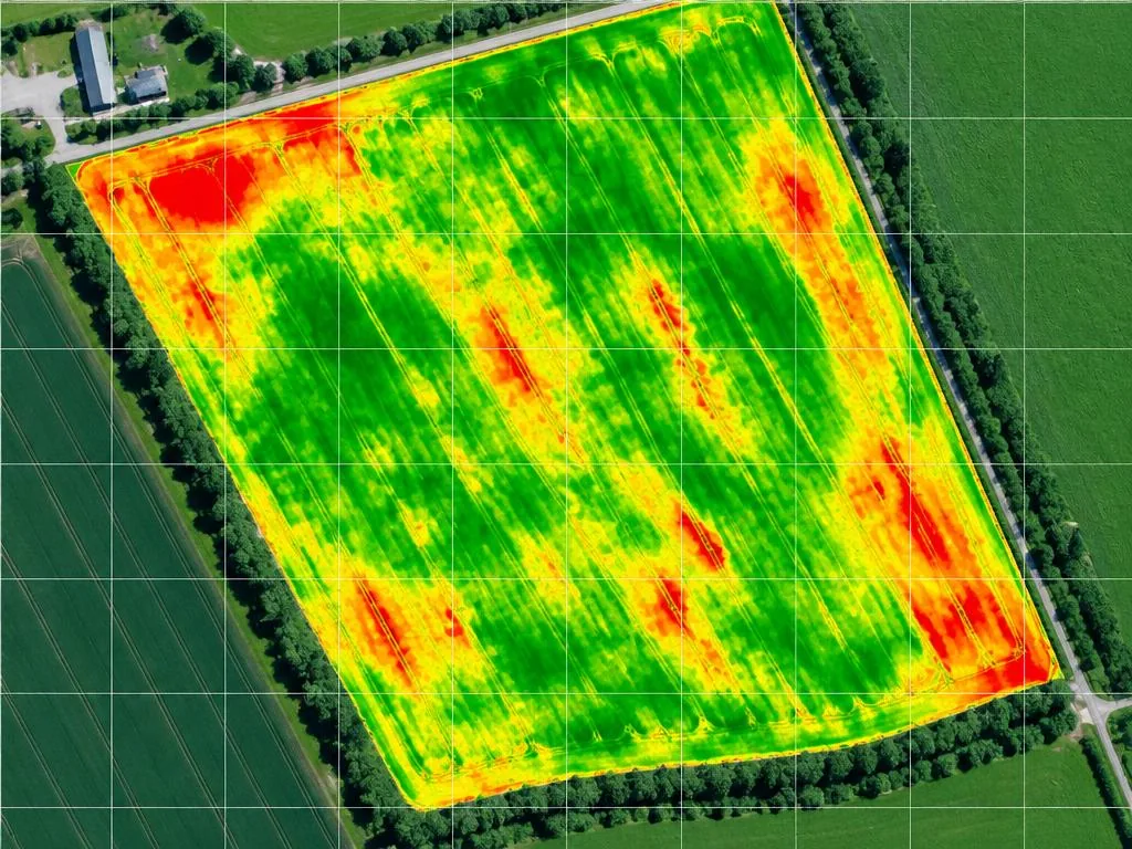 NDVI analiz haritası
